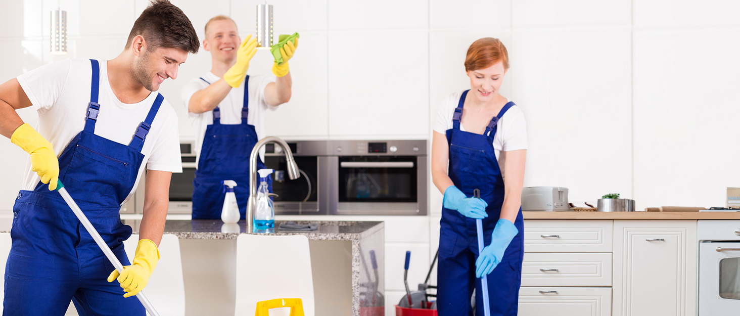 Cleaning Supplies Organizer