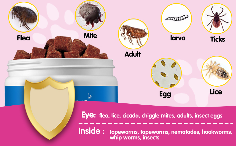 Flea and Tick Prevention for Dogs Chewables Pills, 120