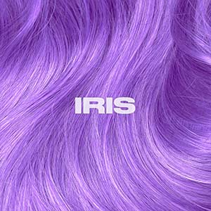 Semi-Permanent Iris Purple Hair