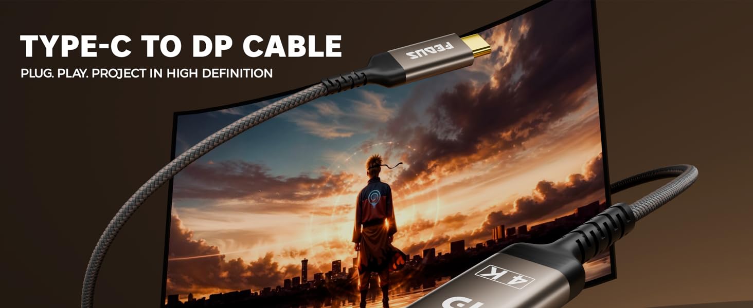 USB Type-C to DisplayPort cable 4.9FT