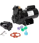 Red Lion PumpWorks PW-CJ75 115/230 Volt, 3/4 HP, 8.1 GPM Convertible (Shallow or Deep Well) Jet P...