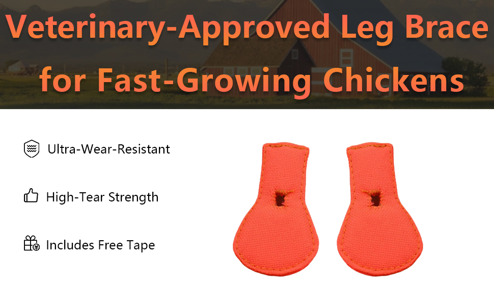 Chick Splay Leg Brace &amp; Hobble Splint - First Aid Kit Essential for Baby Chicks