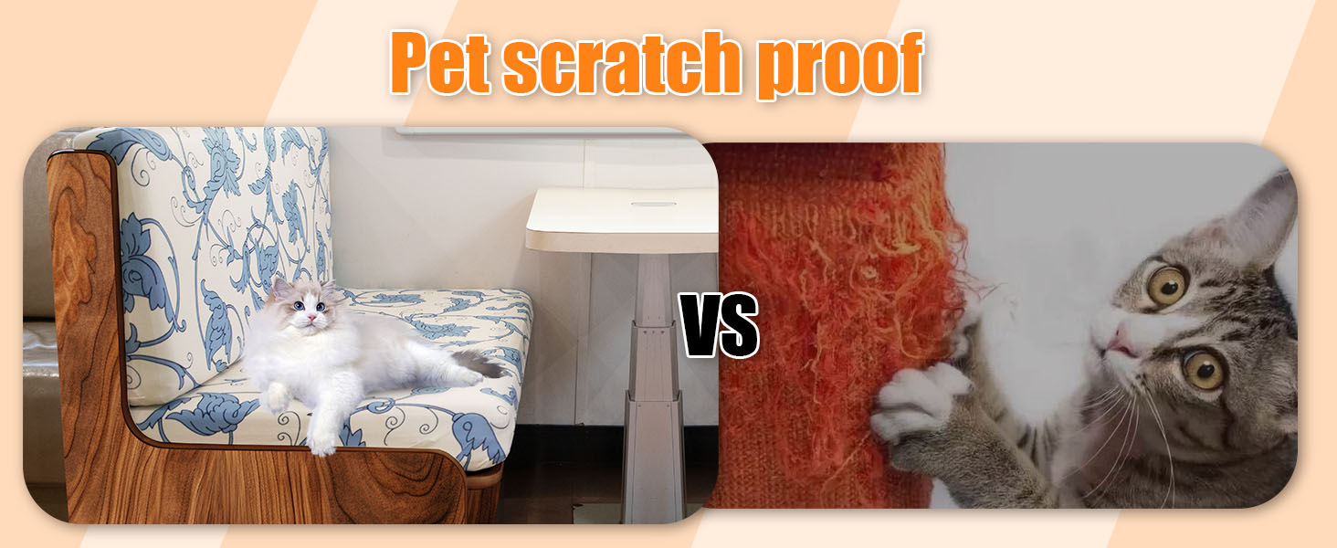 Pet scratch proof