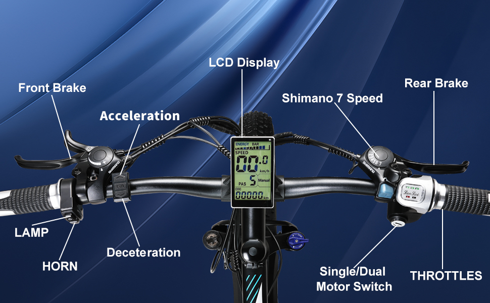 2000W Electric Bike for Adults E Bike Fat Tire Ebike All Terrain for Mountains Snow Sand Road