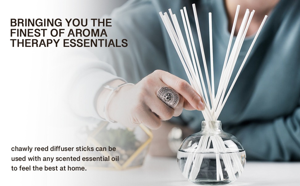 Chawly 100 PCS Fibre Reed Diffusers Sticks (10 inches) 24 cm long