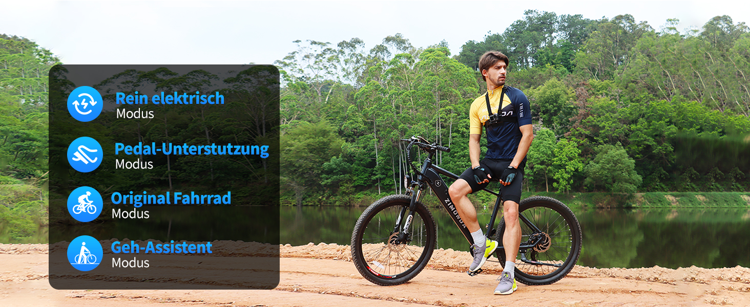 ebike herren