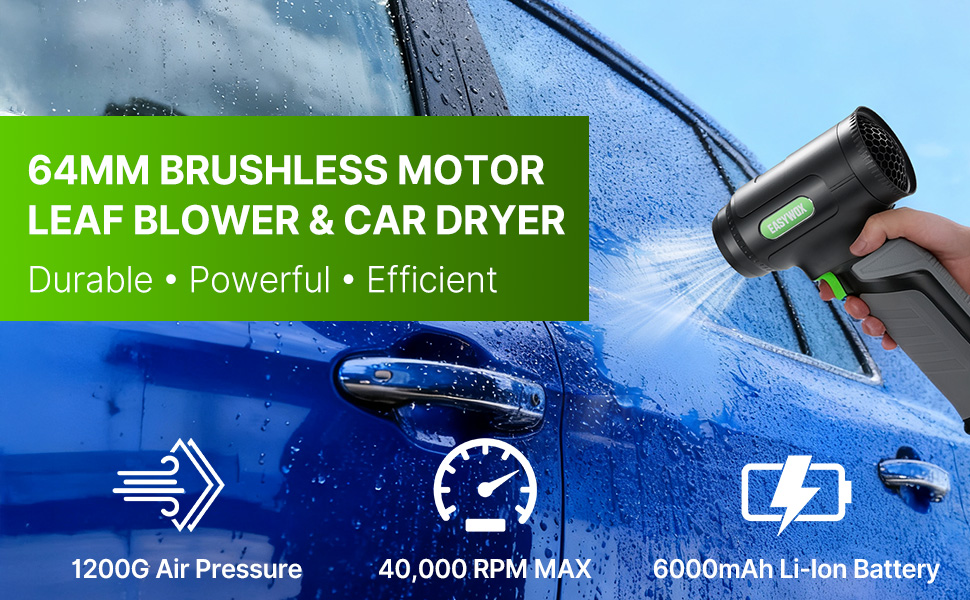 Leaf Blower Car Dryer