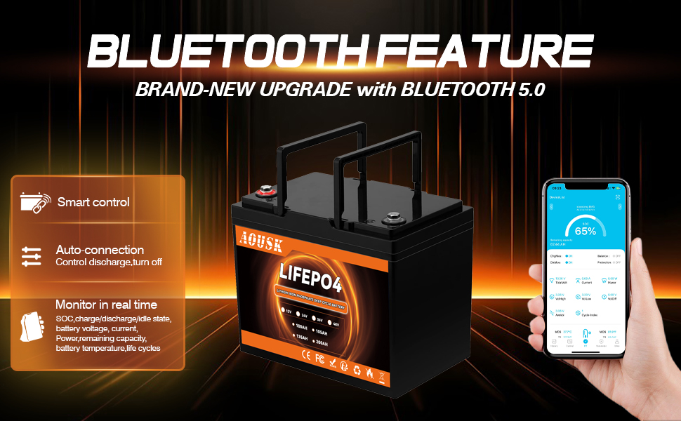 LIFEPO4 12v 100ah