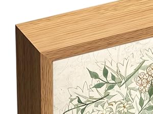 Amazon.com : TOARTi Large Framed Vintage Botanical Canvas