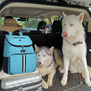 Dog Travel Bag Backpack