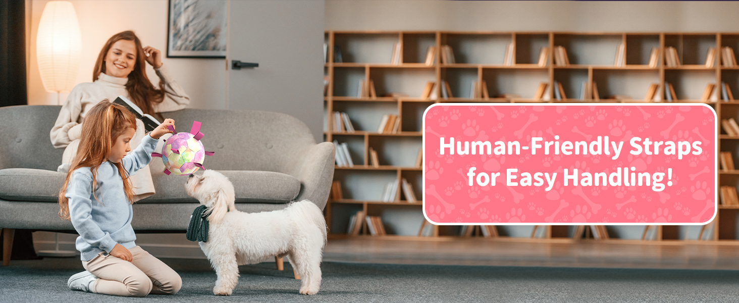 Easy to pick up a dog soccer ball