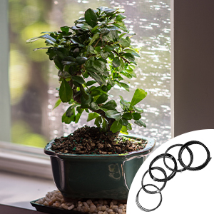 Bonsai Wire
