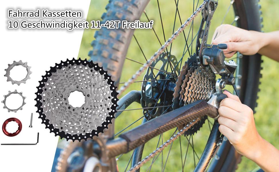 10 Fach Kassette 11 42 Welches Schaltwerk