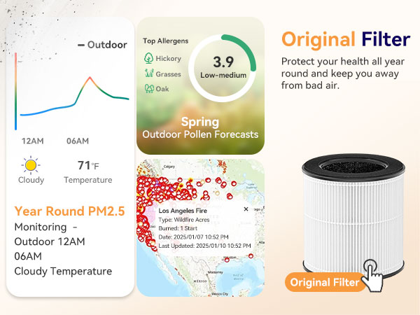 air purifier filter replacement