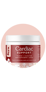 cardiac support