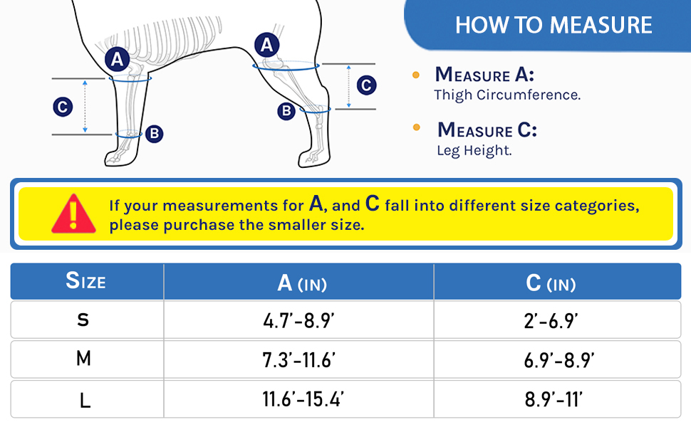measure size for dog