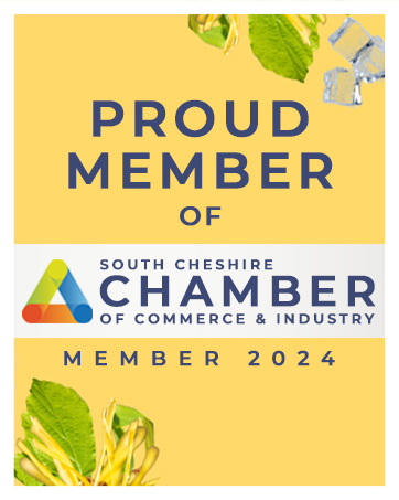 First Days Maternity South Chesire Chamber of Commerce Industry