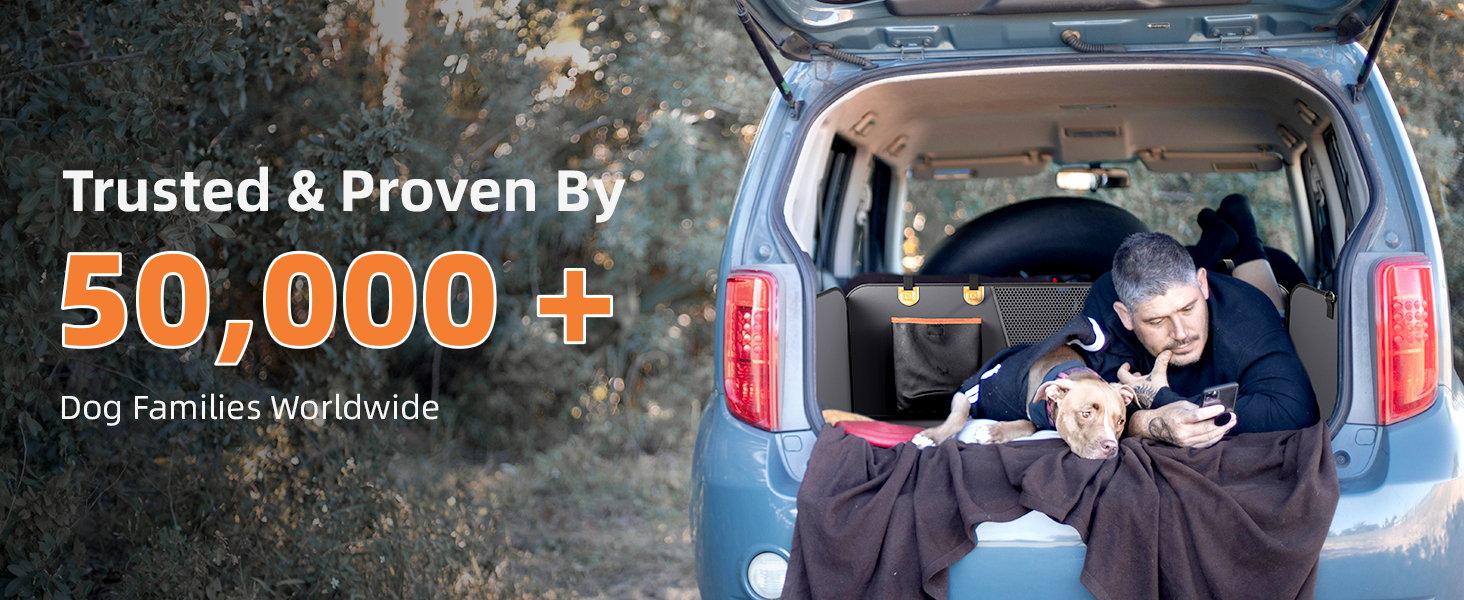 Back Seat Extender for Dogs