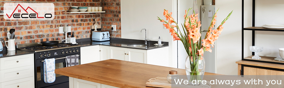 Rolling Storage Shelves