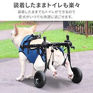すーたん 犬用車椅子 犬の歩行器 マルプー 犬の車いす 歩行補助