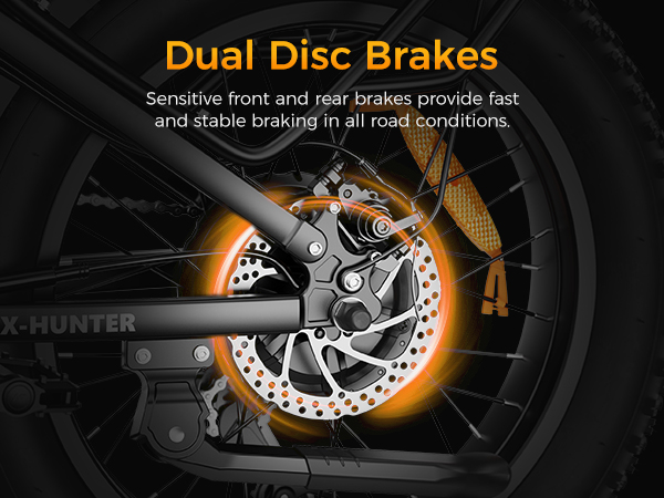 Dual Disc Brakes