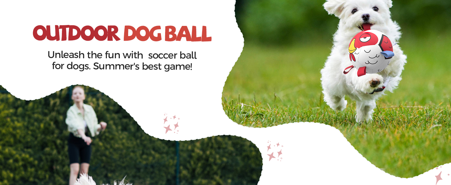 Outdoor Dog Balls
