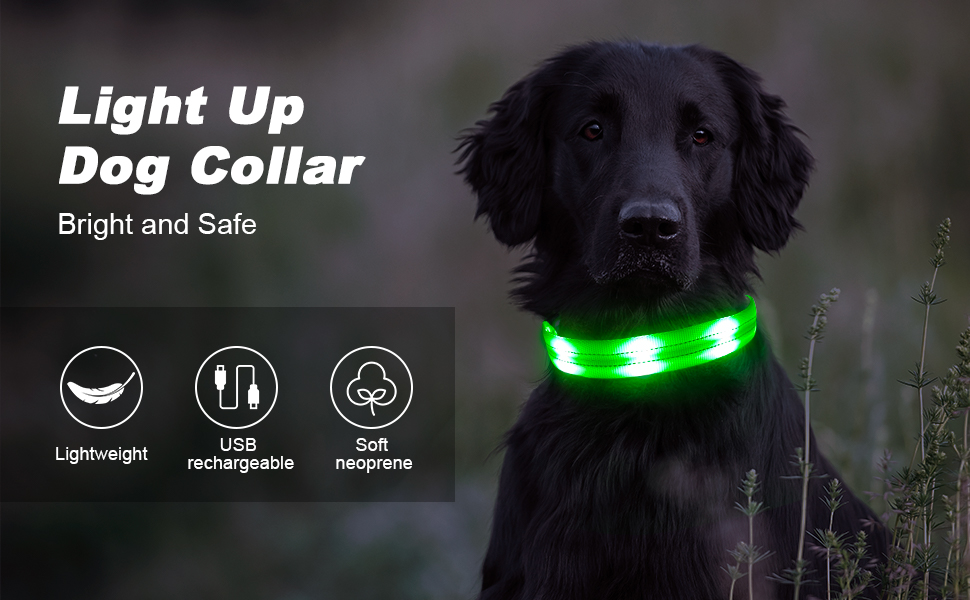 Dolitego Light Up Dog Collars Rechargeable LED Dog