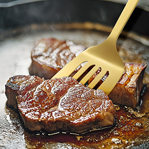 Slotted Spatula Turner