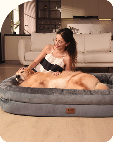 extra large dog bed