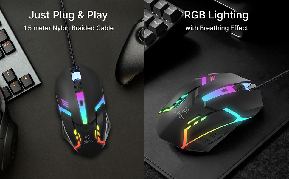 mouse