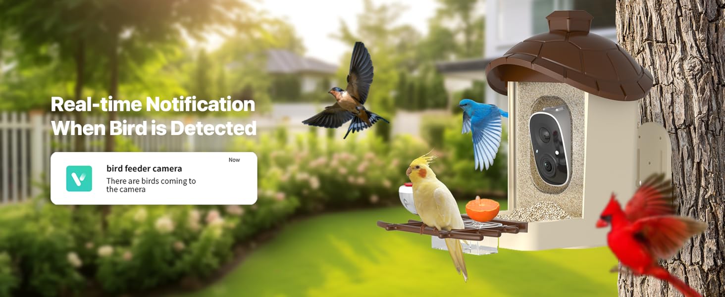 bird feeder with camera