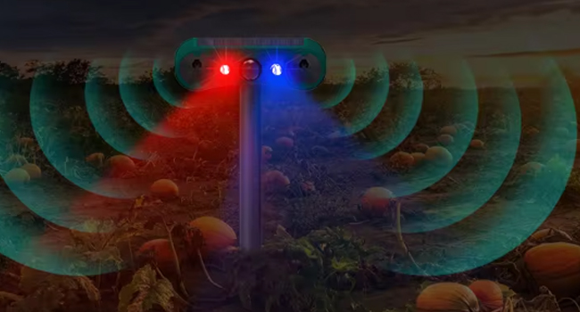 solar security light door security devices coyote deterrent dog deterrent dog deterrent devices