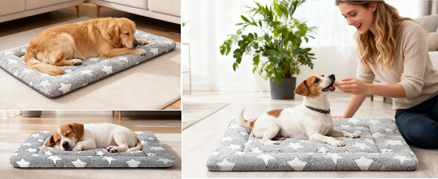 Dog mat