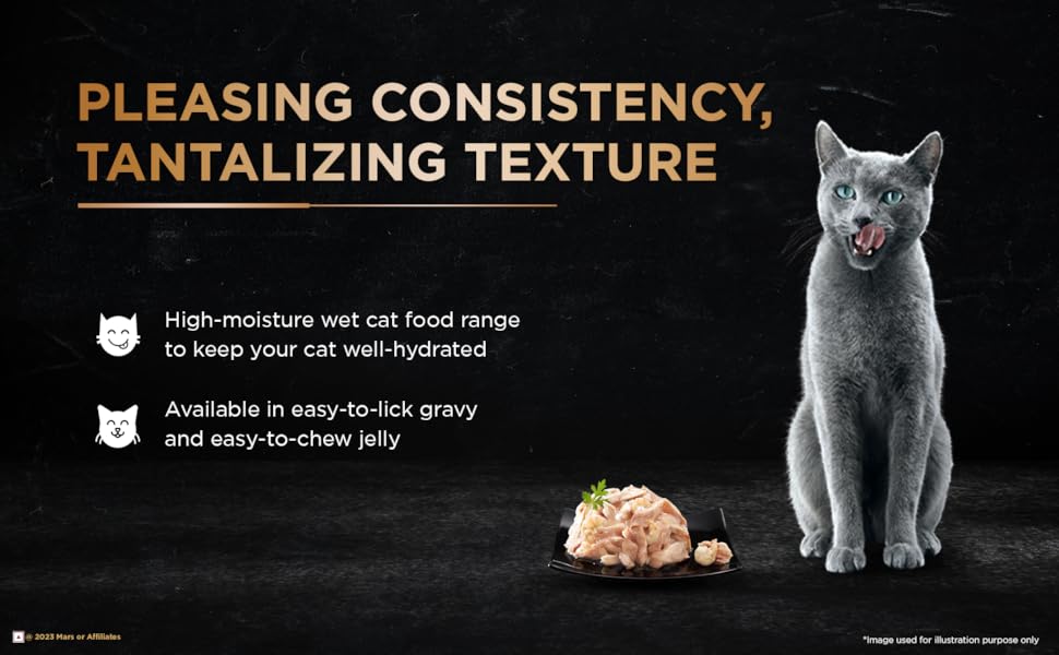 Deluxe cat food