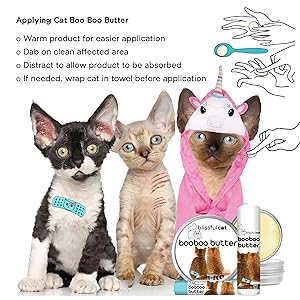 using cat boo boo butter