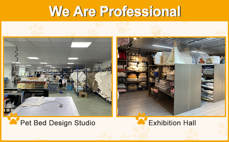 We are professional-Pet Car Seat For Small Dogs