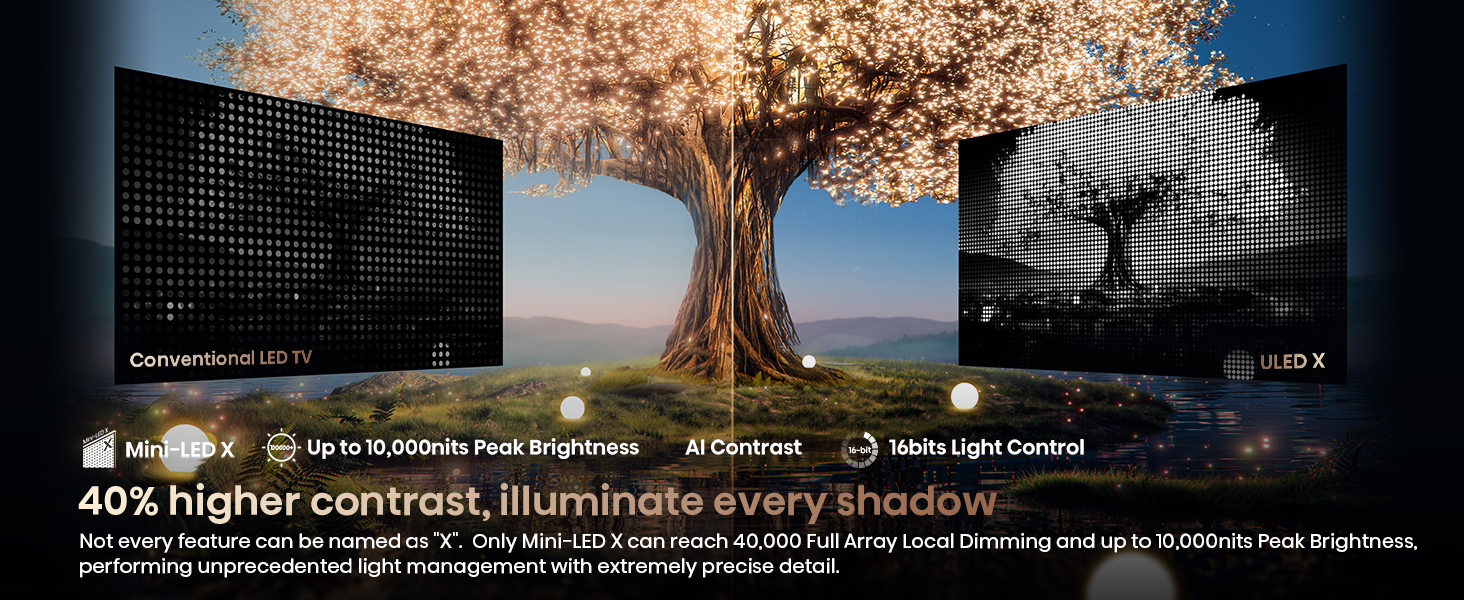 2-2 Mini-LED X