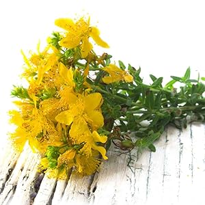 Image of bouquet of yellow flowers
