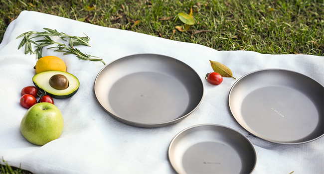 backpacking plate