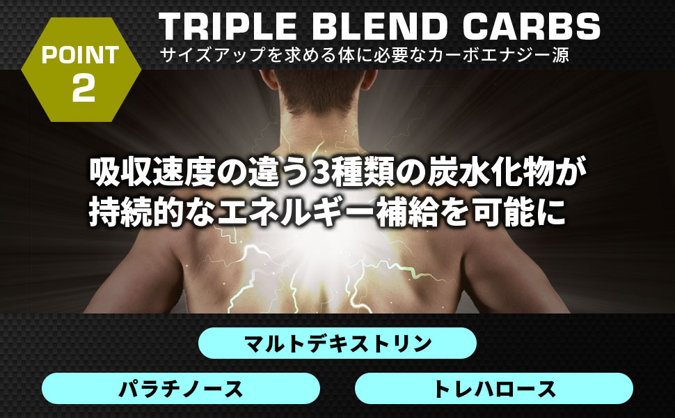ハレオ チェイス アーモンドチョコレート 3kg Amazon | HALEO ウエイトゲイナー WPIプロテイン チェイス 長く