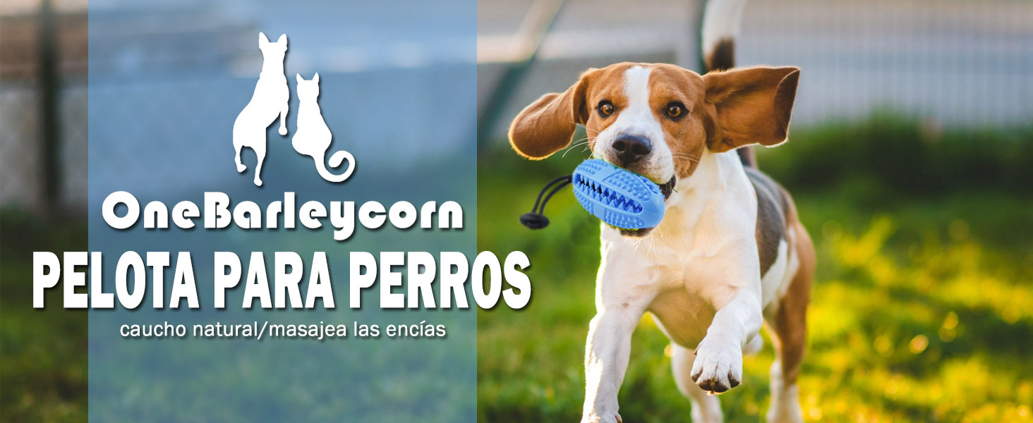 Juguetes Para Perros