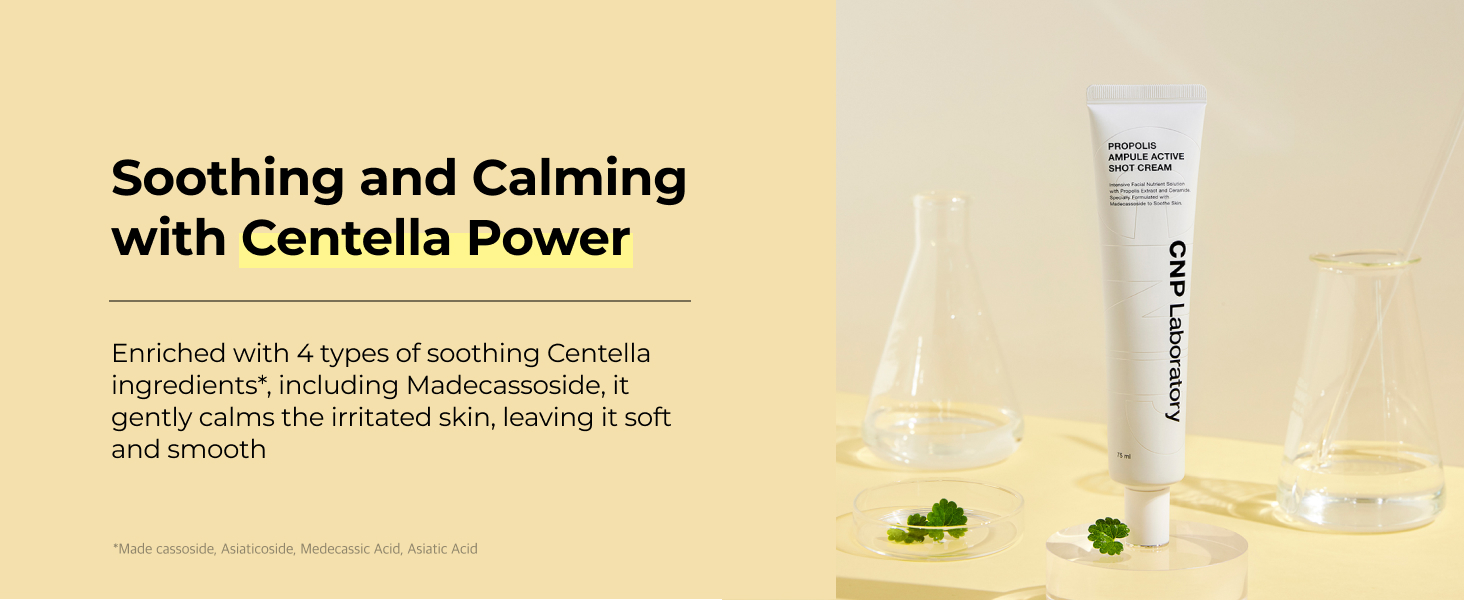 CNP Ampule Shot Cream 