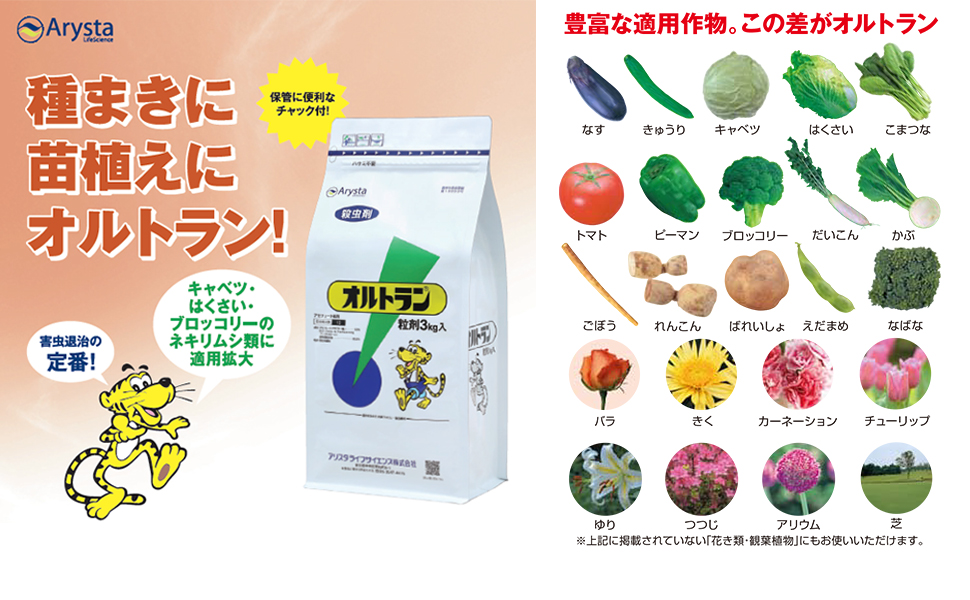 オルトランメインビジュアル
