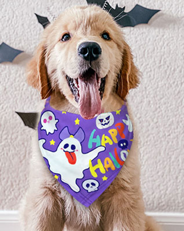 Halloween pet scarf