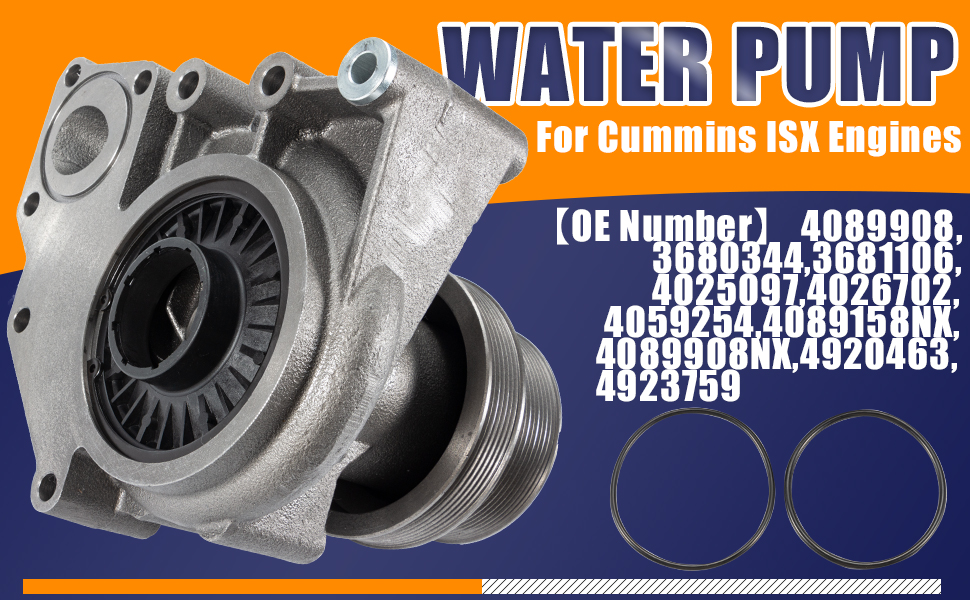 Amazon.com: BLCYANUE water pump Compatible with Cummins