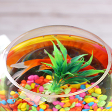 Aquarium Glass Fish Bowl 