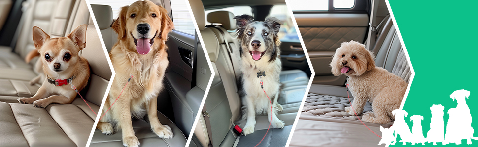 2 Pieces Dog Car Belt, Dog Car Safety Belt, 80 cm Safety Belts for Dogs, Bite Resistant PVC for All Bodies Dogs Accessories (Blue+Red) 20 inturon coche perro