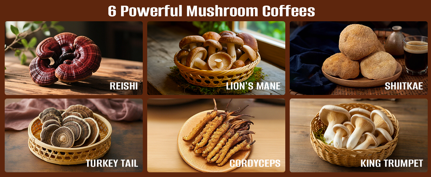 6 powerful mushroom