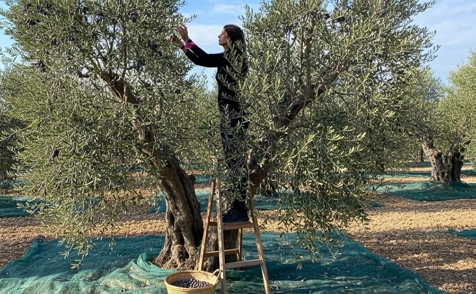 Large manufacture image 1