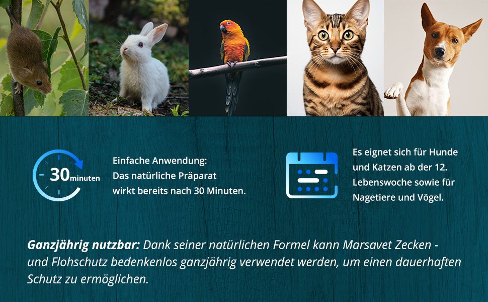 Marsavet – Spot-on – natürlicher Zecken- und Flohschutz